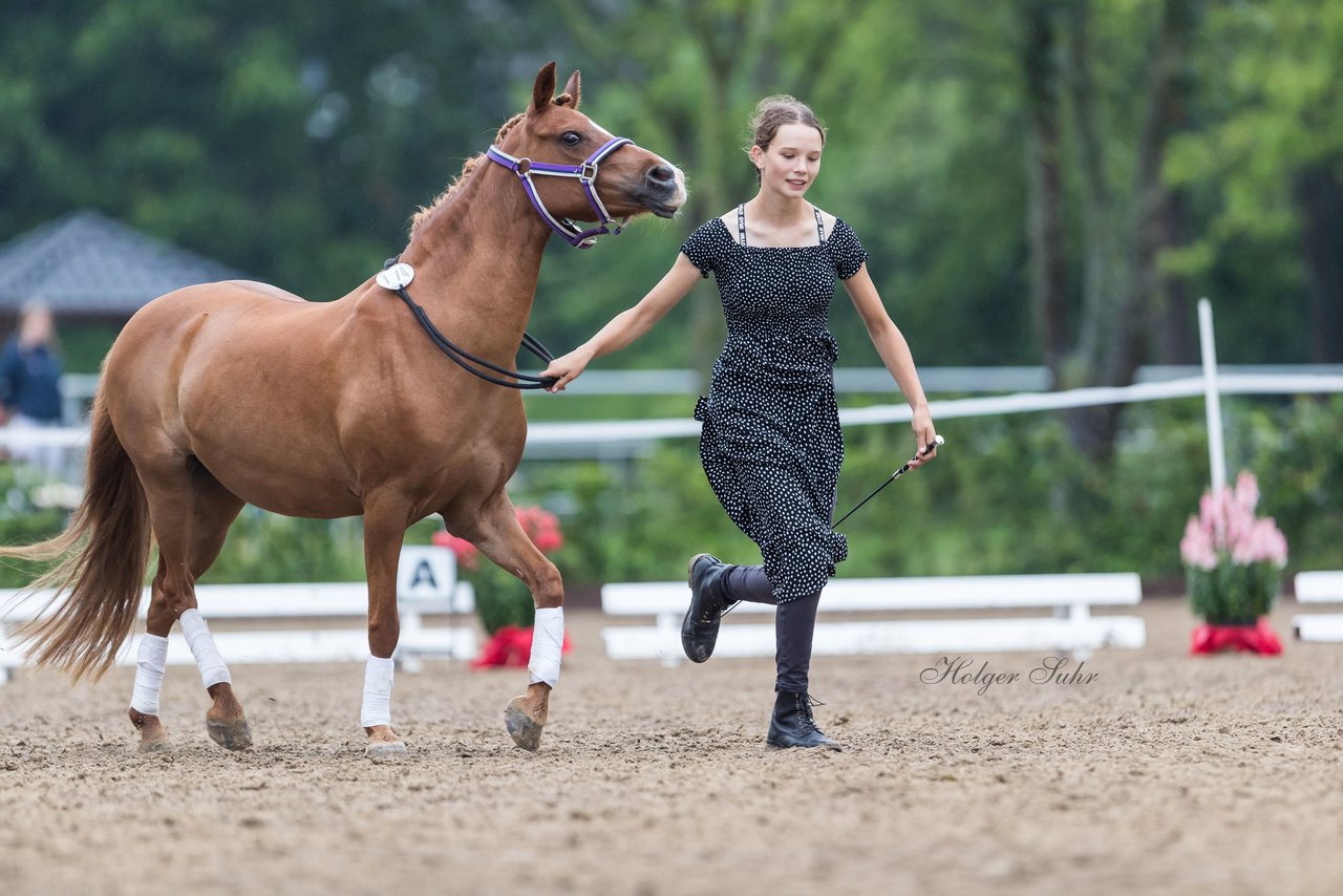 Bild 142 - Pony Akademie Turnier
